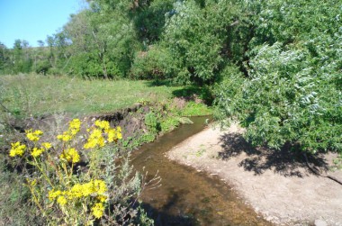 У нас водится форель и хариус